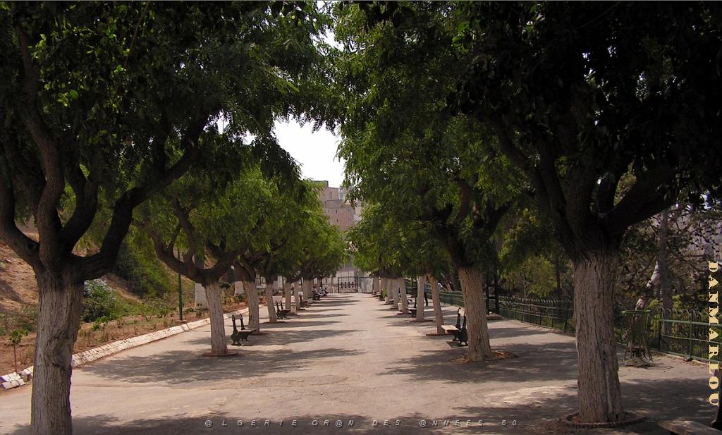promenade de Letang une allee .jpg